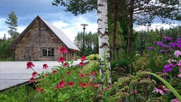 Фотографии Комплексы для отдыха с коттеджами/бунгало Kõrveküla Holiday Centre г. Kõrveküla (Эстония) №3 Фото Комплексы для отдыха с коттеджами/бунгало Kõrveküla Holiday Centre г. Kõrveküla 3